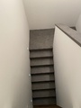 IMG 0294